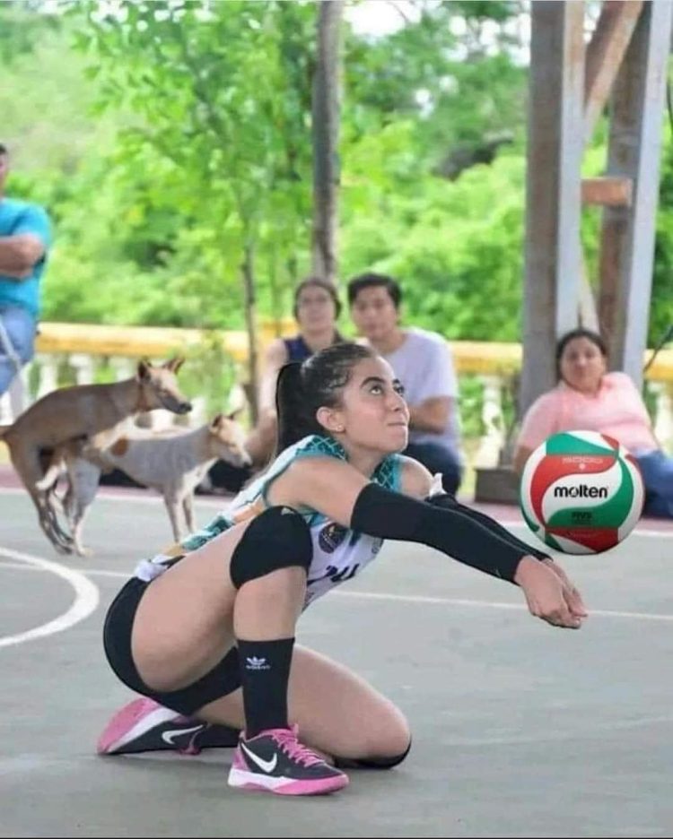 Wag ma distract! Focus lang!