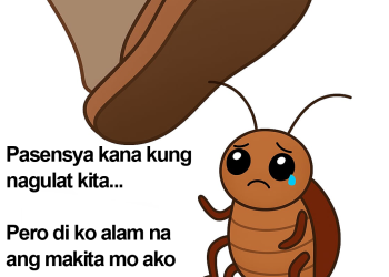 Para next time kapag nakita mo sila… alam mo na gagawin mo ha.